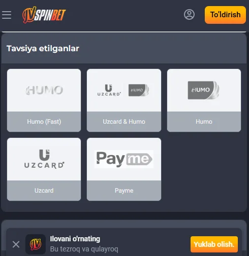 JVSpinBet O'zbekistondagi to'lov tizimlari